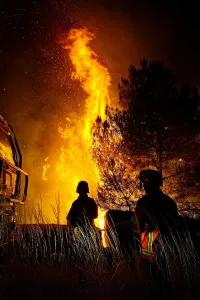 Two firefighters battling an intense bushfire at night with flames rising through trees and a fire truck nearby